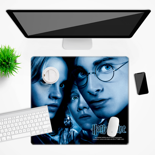 Mata na biurko 50x45 Harry Potter 233 Harry Potter Wielobarwny